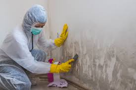 Why You Should Choose Our Mold Remediation Services in Jean Lafitte, LA